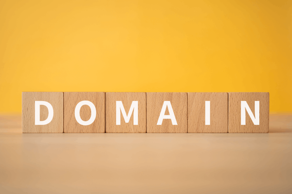 ExpiredDomains.net Expired Domains Search Platform Lists: A Practical Review